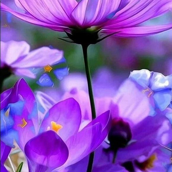 Meet your Posher, La La - Picture 2 of 5